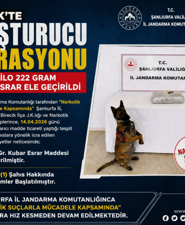 file_0000000036e47246b3fd2947c9871654