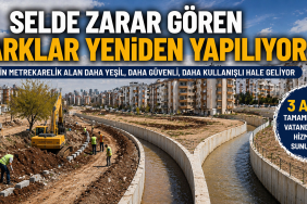 file_000000003ff87246ad37dfd605ce2497