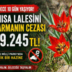 file_0000000057e871f4b48312a8063ecb83