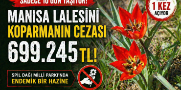 file_0000000057e871f4b48312a8063ecb83