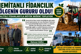 file_00000000b66c7243a766625510b0359f