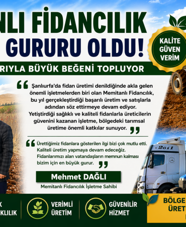 file_00000000b66c7243a766625510b0359f