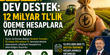 file_00000000f3dc720aa147bc356eac2600