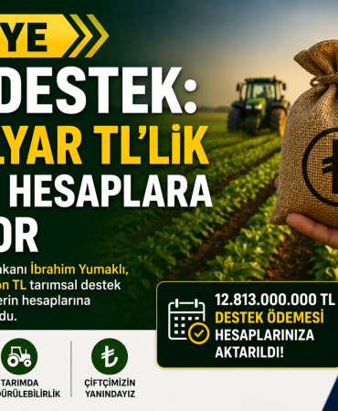 file_00000000f3dc720aa147bc356eac2600