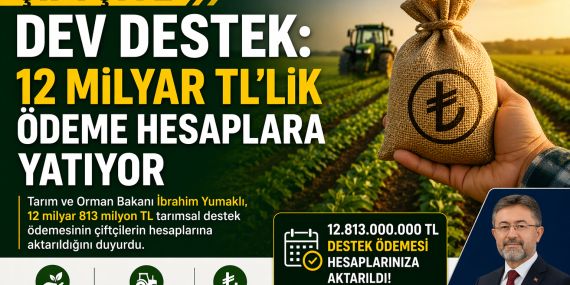 file_00000000f3dc720aa147bc356eac2600