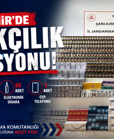 file_00000000560071f5b1d51bc32a54497b
