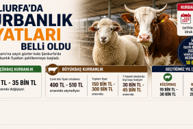 şanlıurfada kurban fiyatları 2026