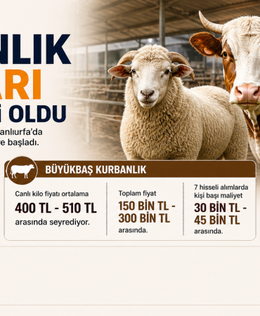 şanlıurfada kurban fiyatları 2026